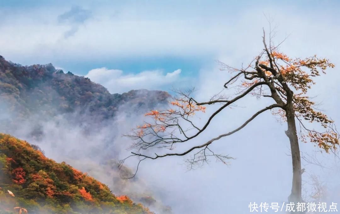 光雾山旅游景区，拟升5A级|喜报 | 景区