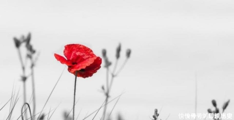 刘伯温很有哲理的一首诗,虽然只是信手拈来,读来令人拍案叫绝!