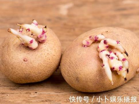 才知道,保存土豆这么简单,学会3个土方法,久放不变绿不发芽