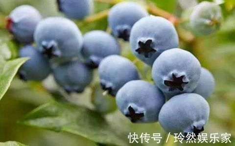 进食|吃哪些水果对眼睛有好处多吃这五种拥有好视力!