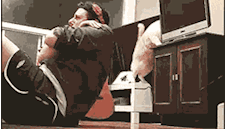 |搞笑GIF:家里养了宠物之后,连健身都没法好好进行了