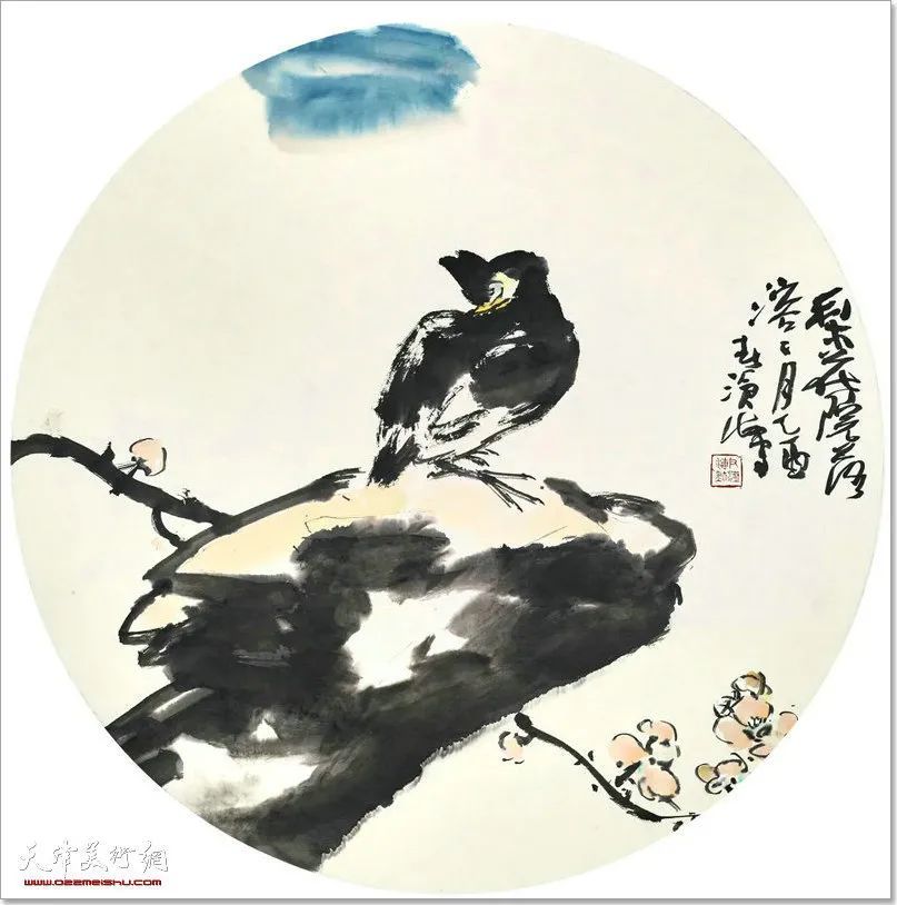 33cm|尹沧海教授八哥作品欣赏:融历代名家的绘画语言于一体