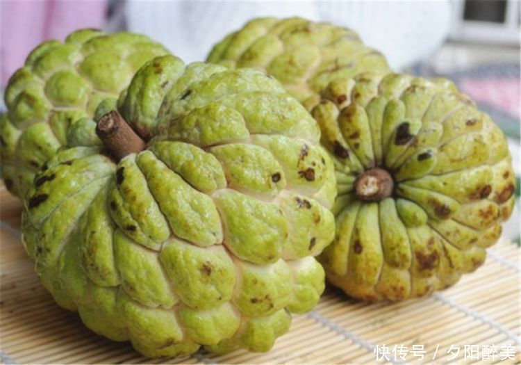 冬天养生正当时,不妨多吃三种食物,健脑益智