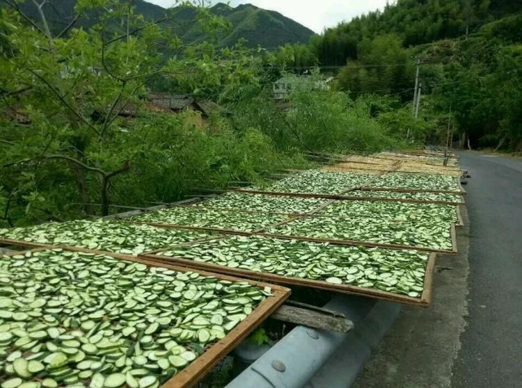 将这些蔬菜晒成干,比新鲜的时候还好吃,容易保存,炖肉吃真香