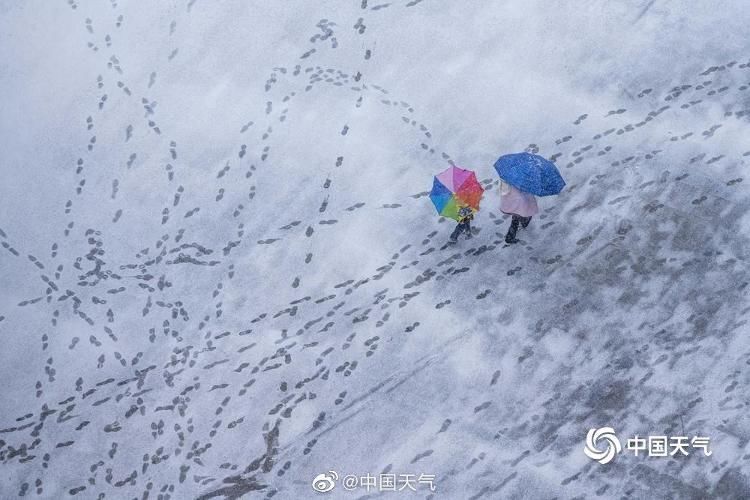 南方|终于不用羡慕北方啦！看南方雪景有多美