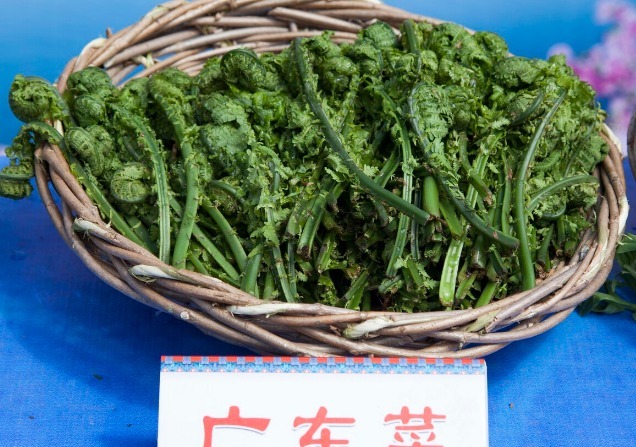凉拌|65种野菜图片,带你认识不同的野菜和吃法,你想要的野菜这里都有