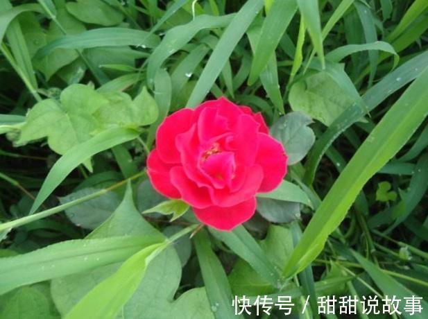 部下|《道德经》懂得此理,就懂得“完美”的内涵!