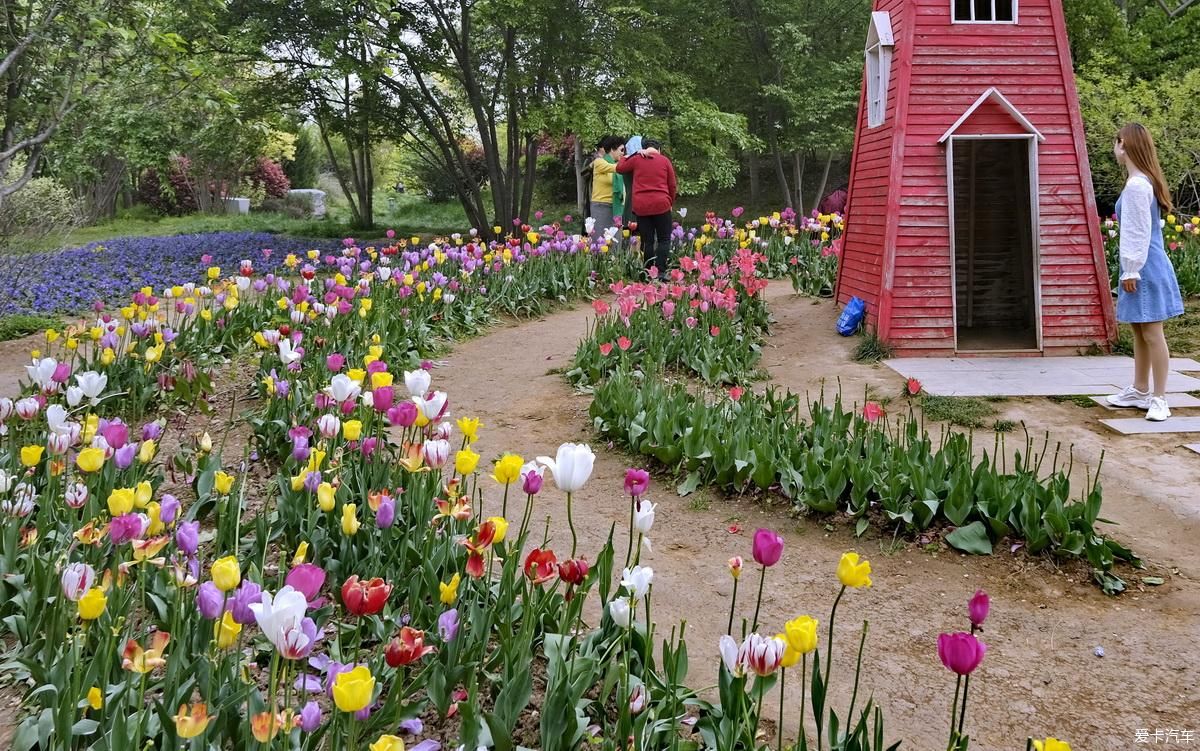 植物园姹紫嫣红是老人聚会的好地方【严建设】