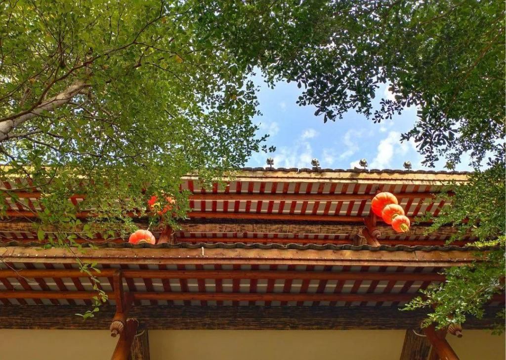  散落|散落相思小镇里的慢时光