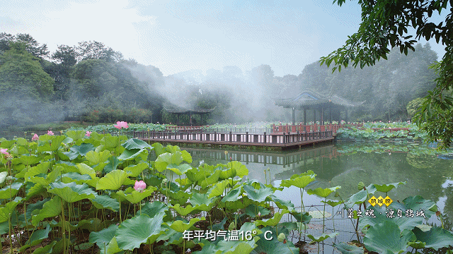 遇见|遇见非遗 | 都是酱，凭什么它叫“川菜之魂”？