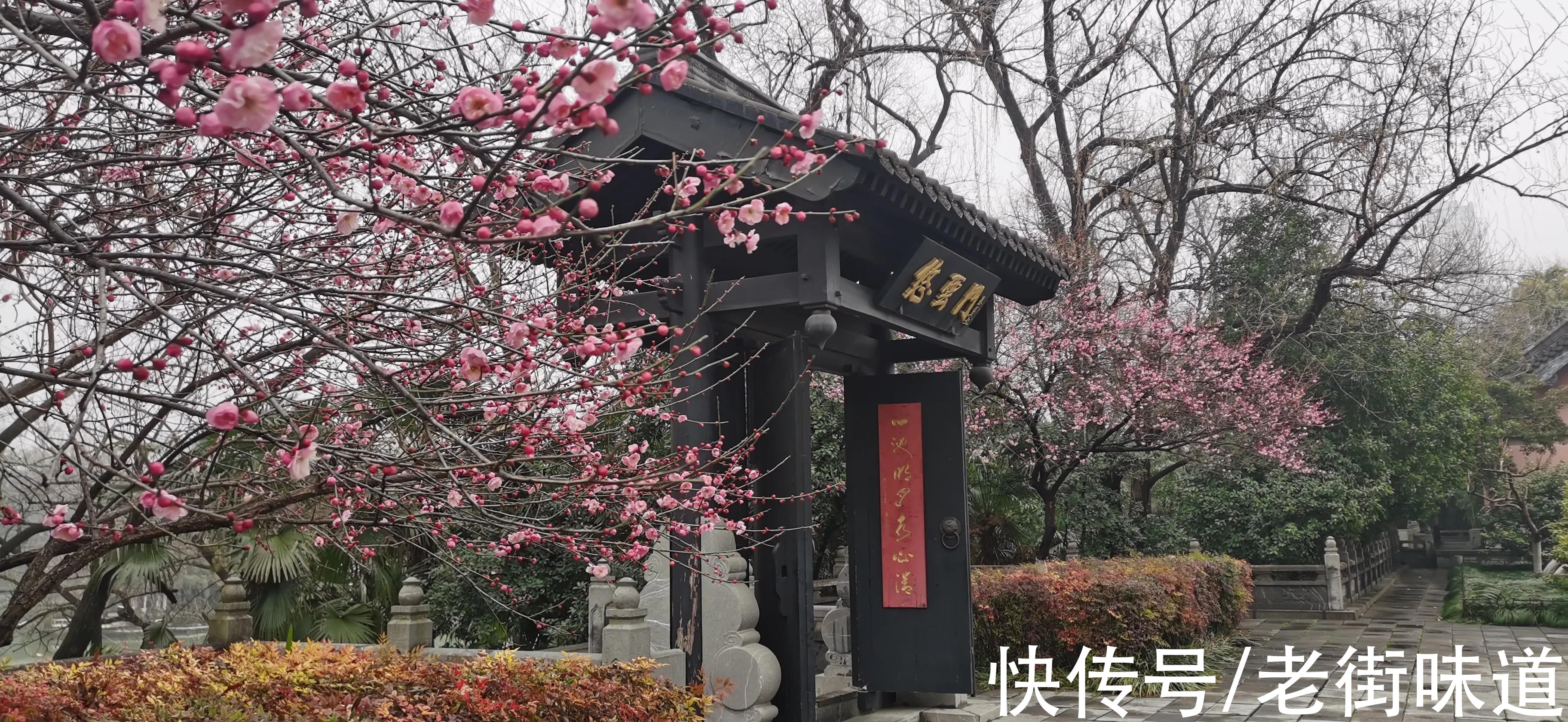 包公祠|原创诗词《游合肥包公祠》，梅争作主先春放，鹭似迎宾点水飞