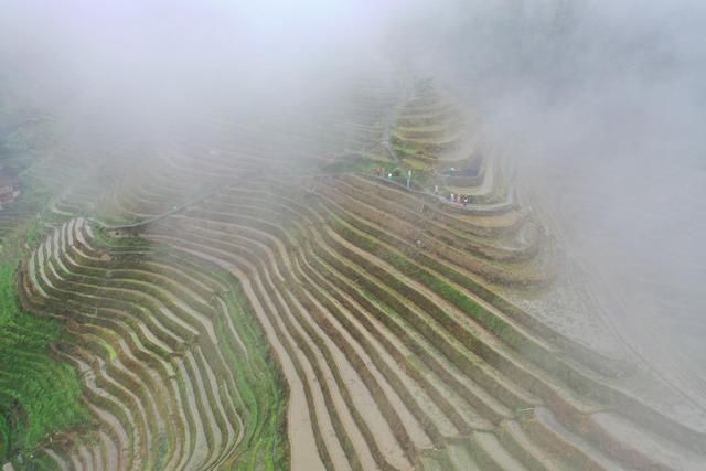 龙脊梯田|烟雨龙脊景色美