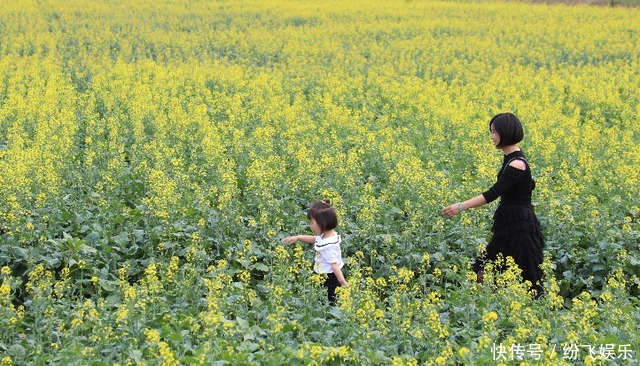 婺源|何必去婺源？北京这处油菜花海，坐地铁就能去看