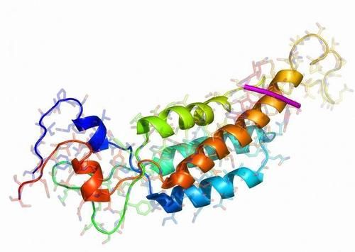 口服|身体缺啥会引发糖尿病？如何补充？看完此文，您必然有大的收获