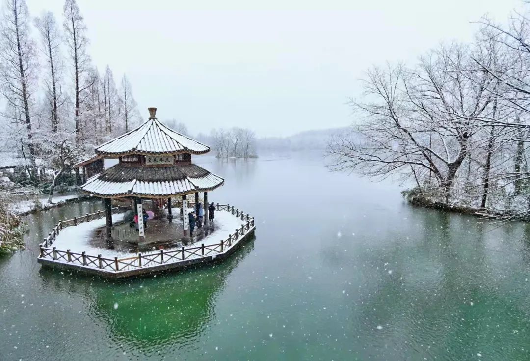 雨雪|此刻的杭州，太美了吧！