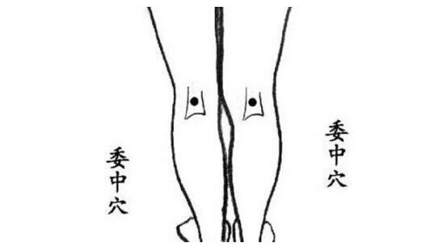 坐骨神经|人身上的3个“排湿口”,秋季“轻轻拍”,湿气可能会悄悄溜走!