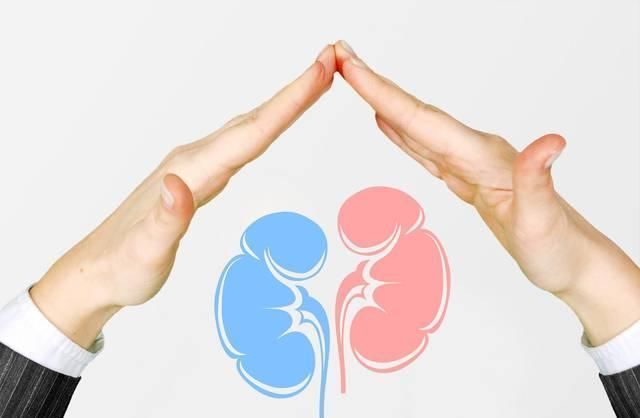 尿蛋白定量|从糖尿病到尿毒症，会经历五个阶段，远离尿毒症，这四件事不要做