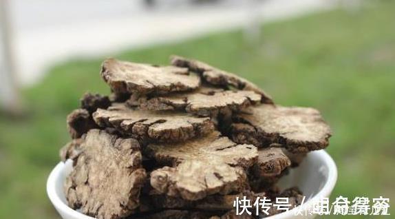 慢性疾病|高血压最“怕”的几种食物,每天坚持吃一点,排出血液垃圾降血压