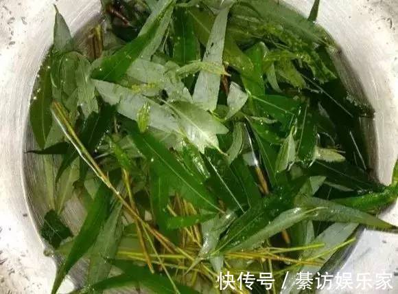 自制养花杀菌水，7天浇一勺，花不生虫不烂根