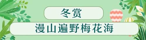 空铁|福州将建“空铁”线！又萌又厉害，你想坐吗？