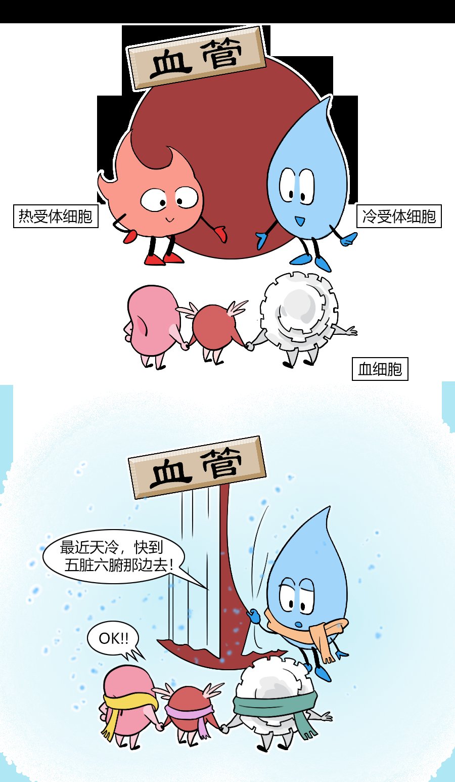 冬天|为啥你冬天手脚易冰凉！!这篇漫画说明白了...