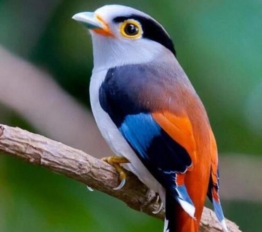 孩子拒绝上交压岁钱,家长可以这么做