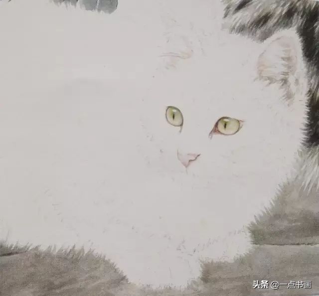 步骤|工笔猫的画法步骤