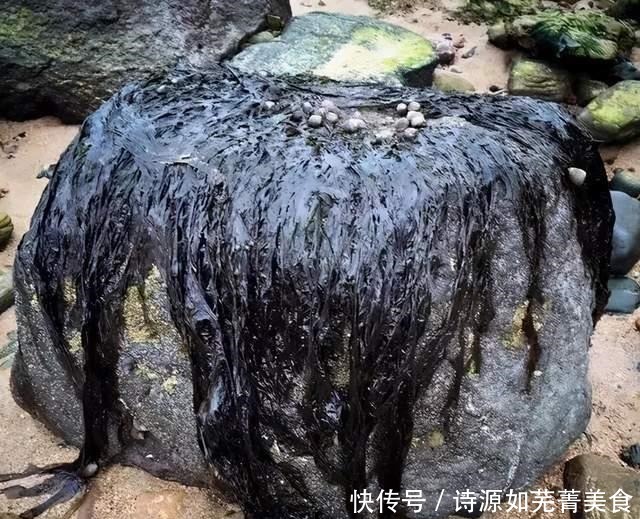 道菜|英国饮食大赏“黑暗料理”or“美食天堂”