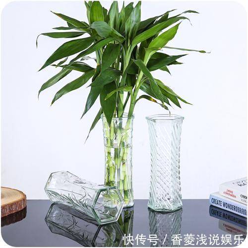 空气|家里什么植物都可以不养,唯独这4种万万要种,难怪有钱人住富裕