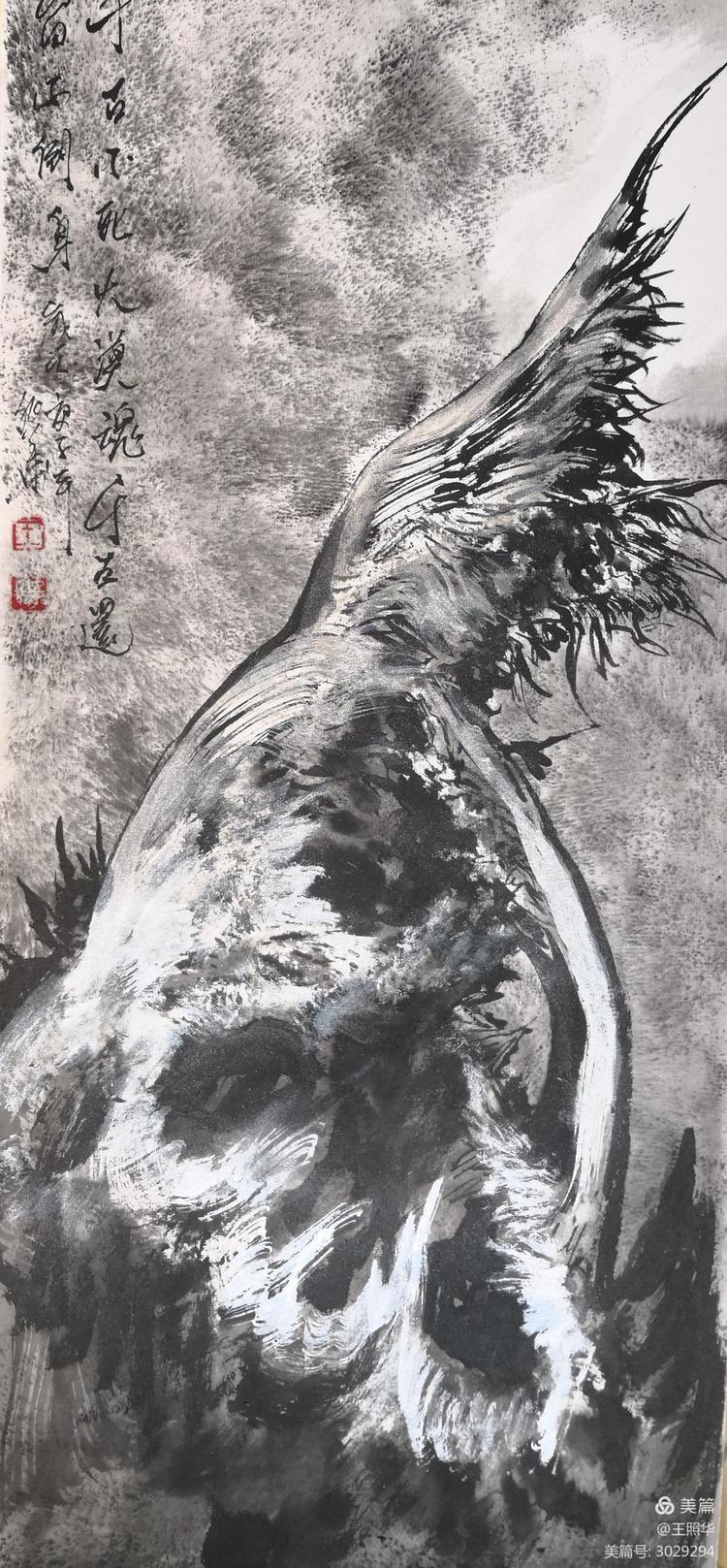  王照华|追求艺术真谛,王照华《大美胡杨》新篇