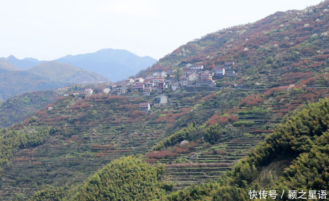 高山村落，樱花盛开，天空之境，天上人间