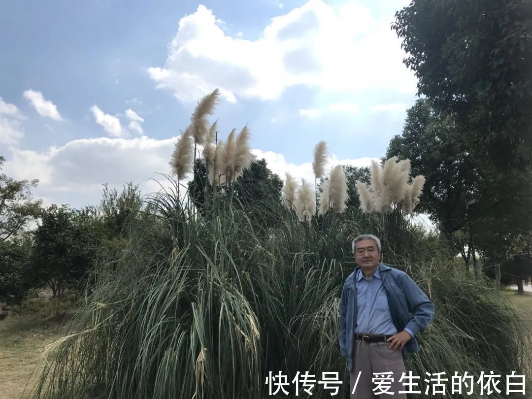 李燕!《大美为真》中国当代书画名家学术邀请展—邹士方