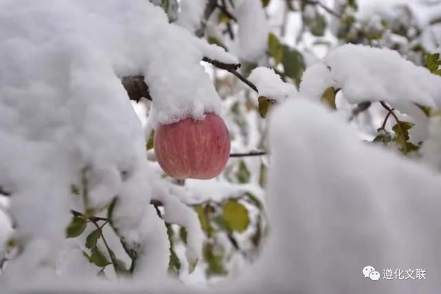 还看今朝#诗文天地:冬雪遐思