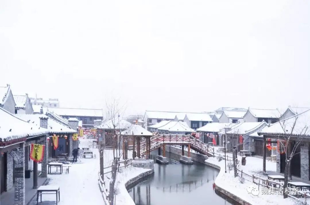 期待|期待一场大雪 邂逅最美山“冬”