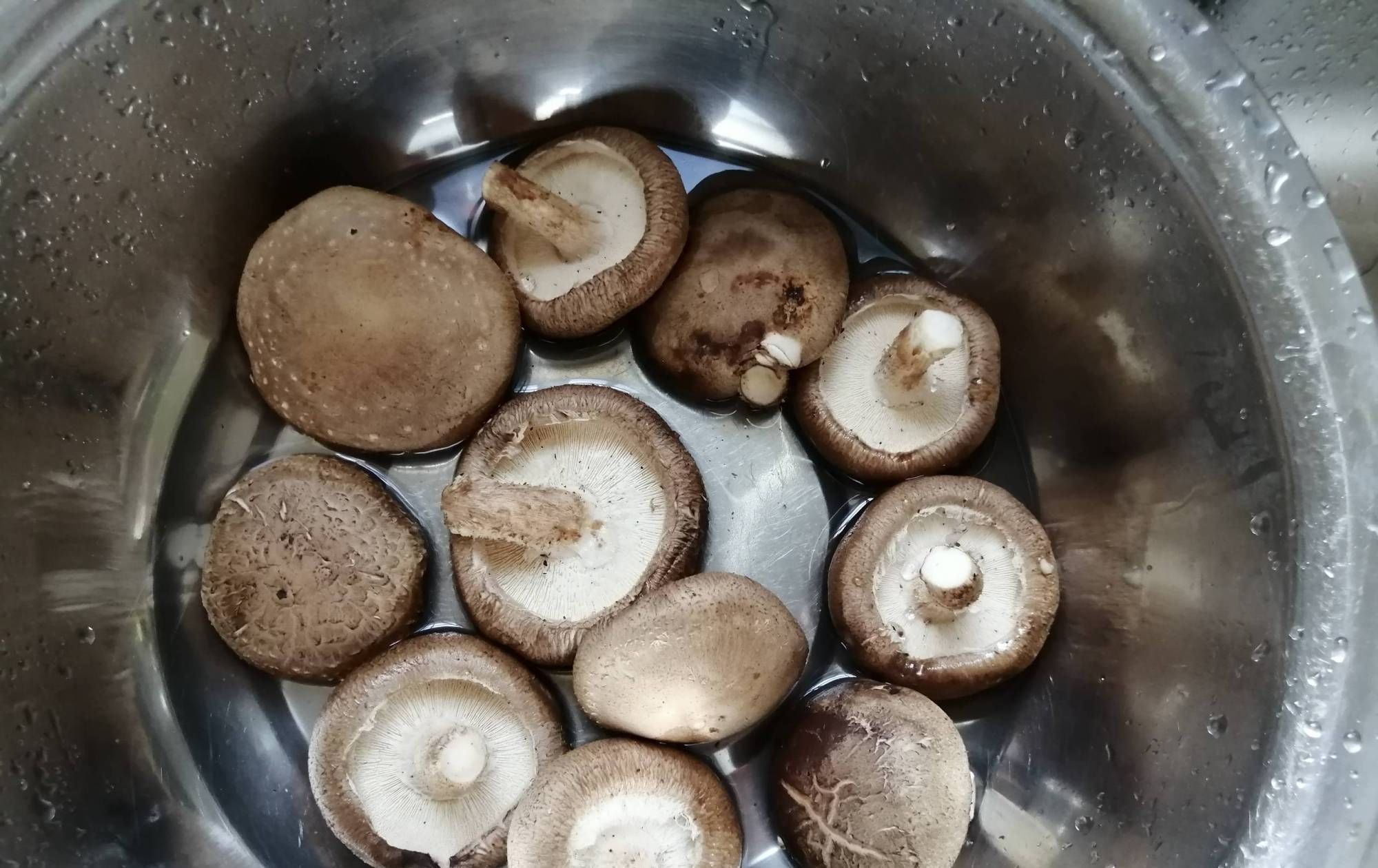 “天然青霉素”是它,三天吃一次,咳嗽肺热不见了,很少人知道