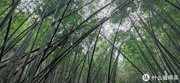 山阴道上行 如在画中游|旅行日志 篇一：绍兴 · 萧绍古道 | 中年