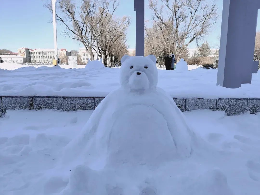 田鹏|女大学生的“雪灯”火了