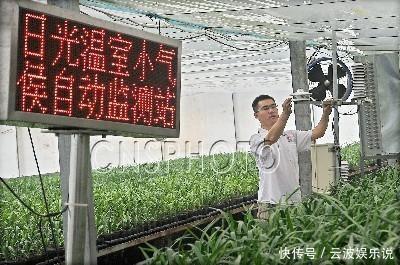 盆栽|家里无论养啥花,提前做“3步”,以后虫子少、不烂根