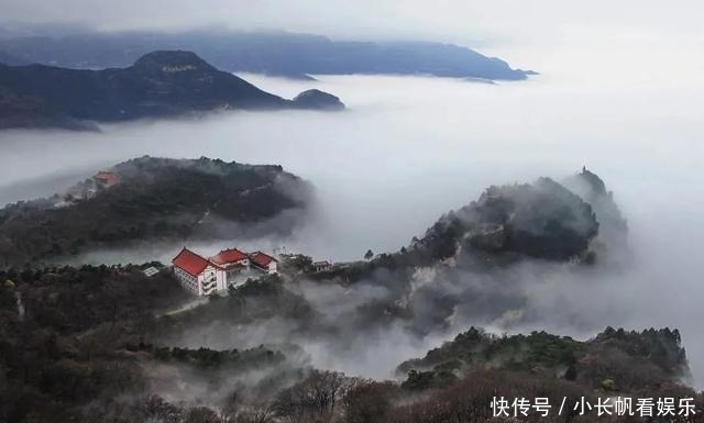  大地|「视觉」河东大地绽新颜 今朝盛景迷人眼