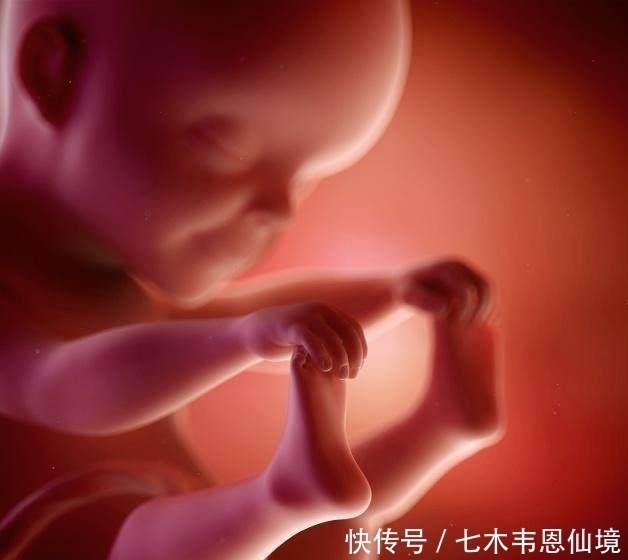 肚子|四维做到一半,小家伙竟然在妈妈腹中干“坏事”,连医生都乐了