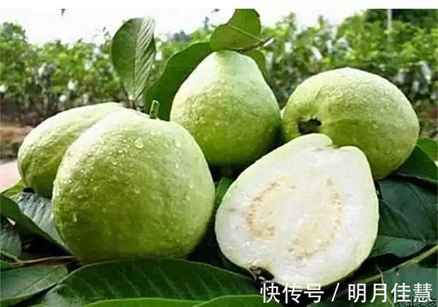 苦瓜|医生8种食物是糖尿病人的最强“胰岛素”，常吃血糖稳稳降