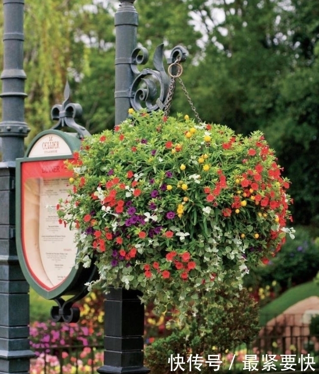 任何容器都能用来做花盆,请收好这30种美丽的花盆搭配设计