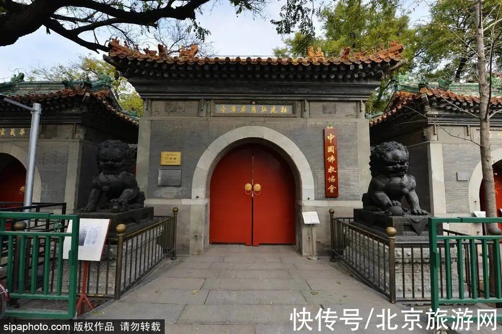 图书馆|北京最美的一条街在哪？这里每一个地点都让人流连忘返