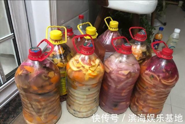 养花|7种“垃圾”不是废物,泡一下水,肥的流油,养花一级棒