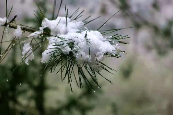 雪花儿|雪后小城，每一帧都美成屏保!