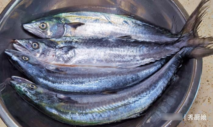 鲅鱼|入秋后，此鱼我碰到就买，肉厚刺少，营养极高，炖一锅鲜美又滋补