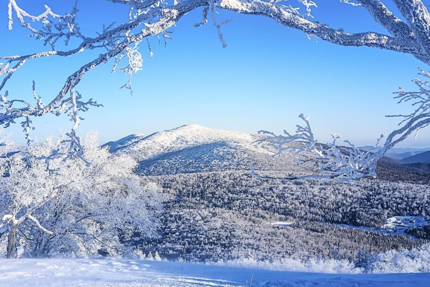 长春|相约长春，邂逅冰雪奇缘