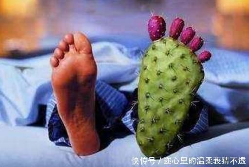 农村常见的野草用处可不小,坚持每天泡水喝,几个惊喜找上门