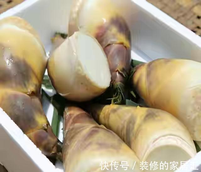 焯水|保存竹笋,有人煮熟急冻,有人直接急冻,都不对,教你正确做法