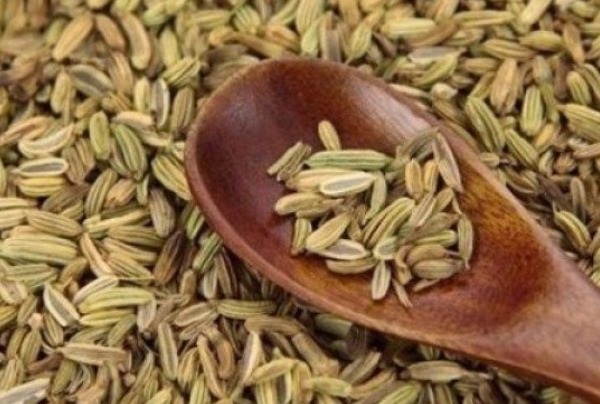 调理|老是失眠怎么办此物放在枕边不仅有助睡眠，还能调理身体